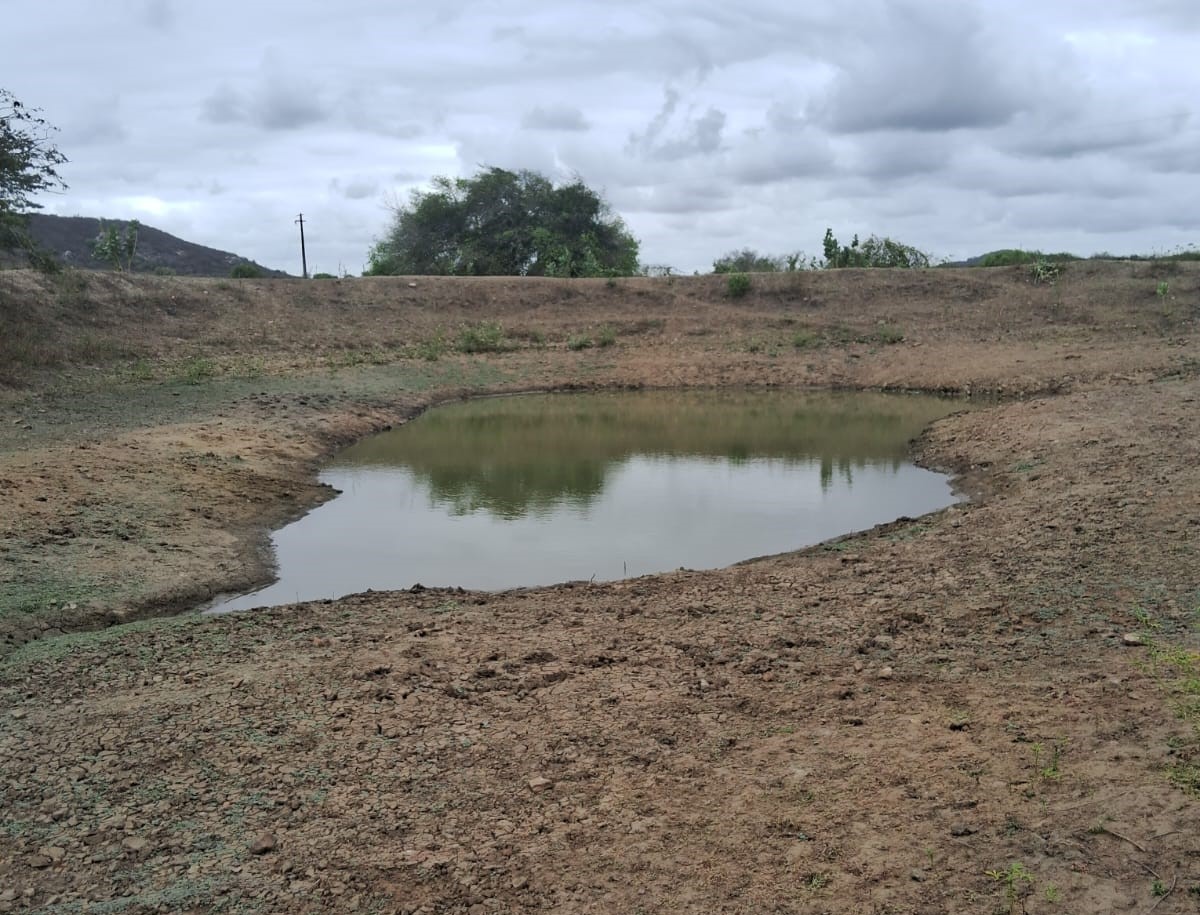 PREFEITURA DE TACIMA DECRETA SITUAÇÃO DE EMERGÊNCIA DEVIDO BAIXOS ÍNDICES PLUVIOMÉTRICOS REGISTRADOS NA ZONA RURAL DO MU