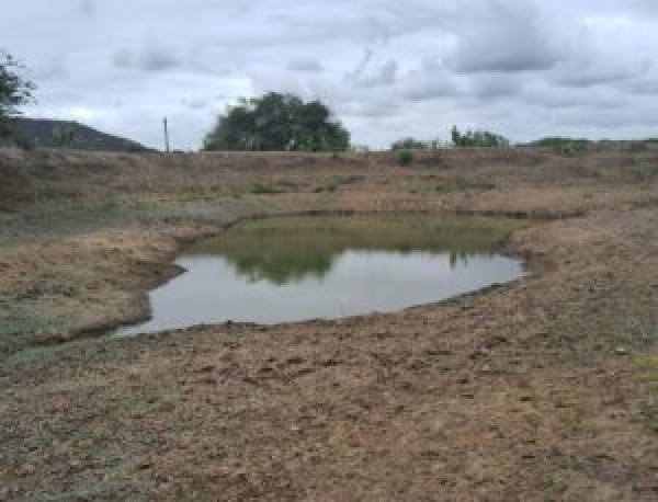 PREFEITURA DE TACIMA DECRETA SITUAÇÃO DE EMERGÊNCIA DEVIDO BAIXOS ÍNDICES PLUVIOMÉTRICOS REGISTRADOS NA ZONA RURAL DO MU